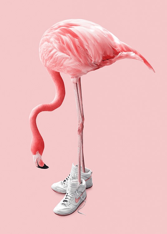 Sneaker Flamingo Juliste