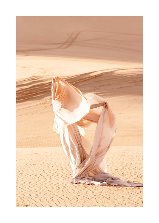 Desert Bird Juliste