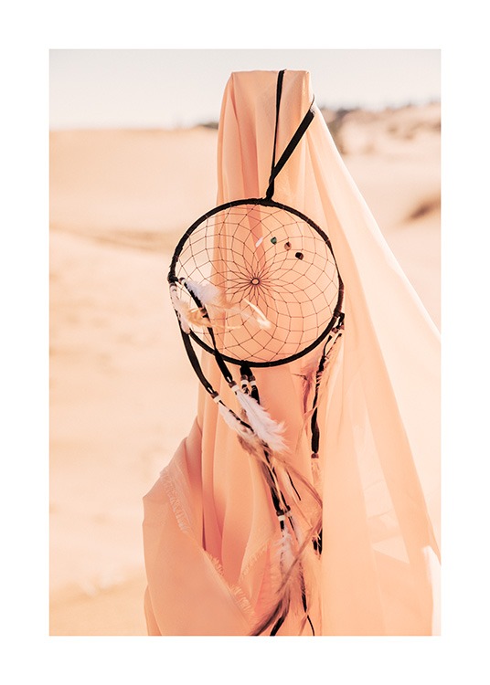 Catch Your Dream Juliste