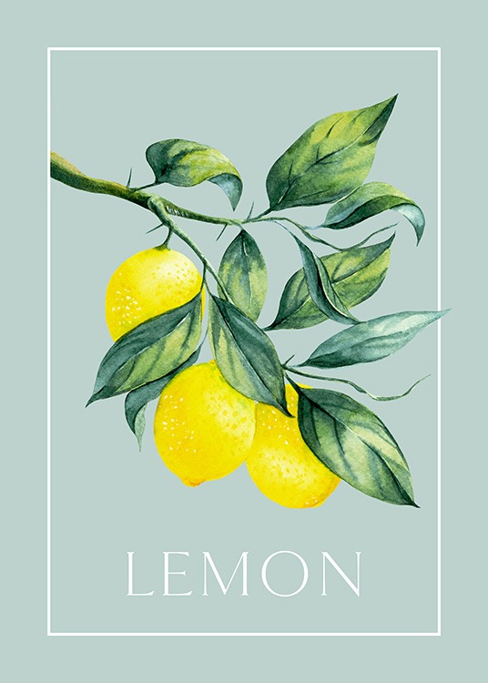Vintage Lemons Juliste