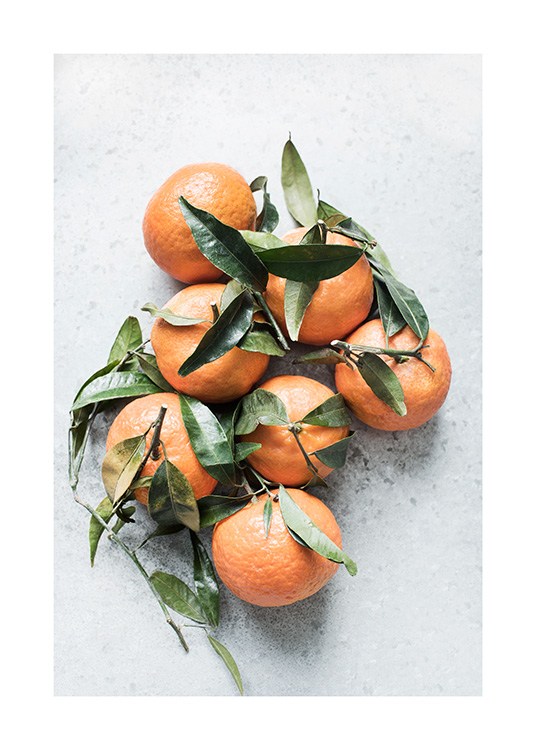 Tangerines Juliste