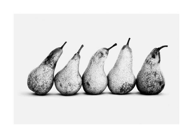  - Mustavalkoinen valokuva viidestä päärynästä rivissä