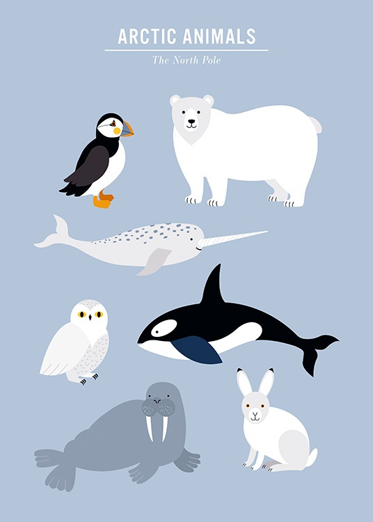  - Lastenjuliste, jossa graafinen kuvitus arktisista eläimistä sinisellä taustalla
