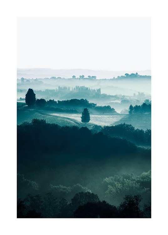  - Luontovalokuva puista pelloilla Toscanassa, sumun ja usvan peitossa