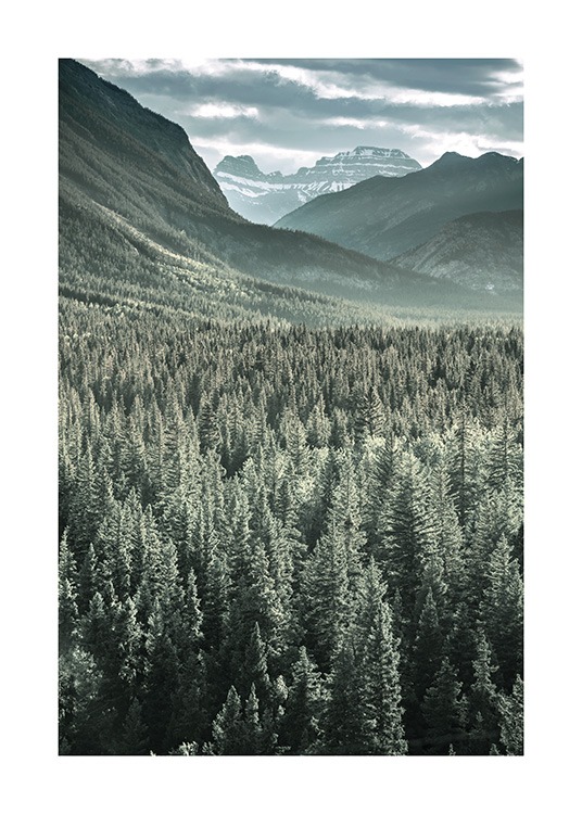 Rocky Mountains Forest Juliste / Luontoaiheet Osoitteessa Desenio ab (13592)