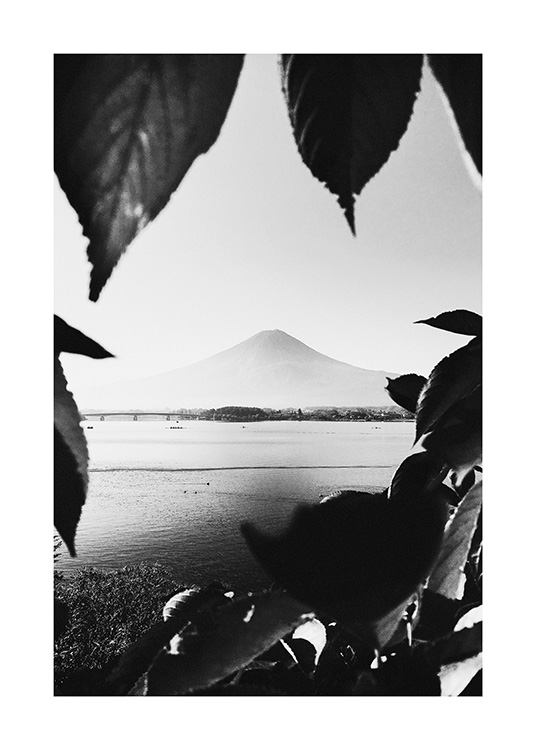 Mount Fuji B&W Juliste / Vuoret Osoitteessa Desenio ab (13638)