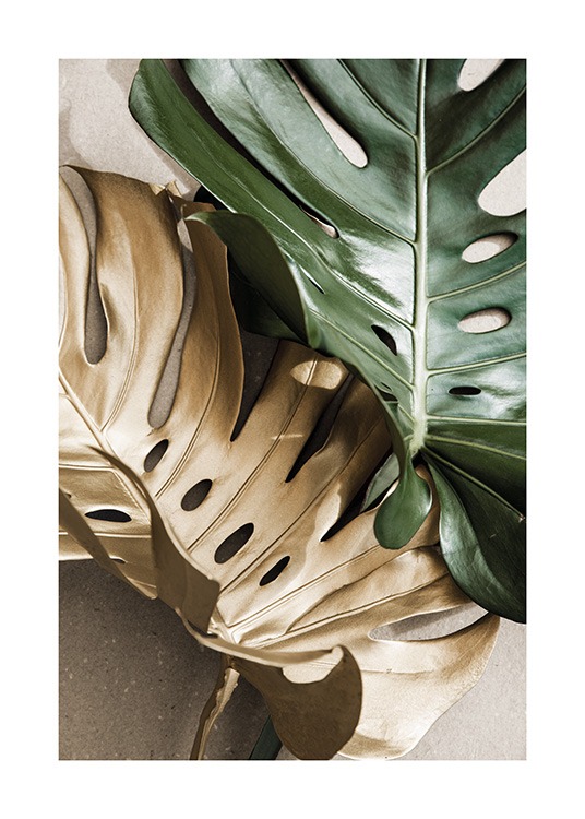 Gold Monstera No2 Juliste