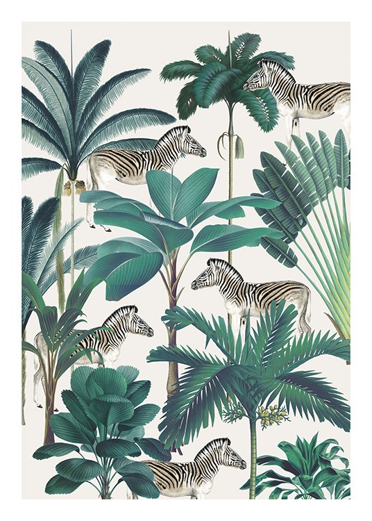 Royal Botanical Zebras Juliste / Villieläimet Osoitteessa Desenio ab (13734)