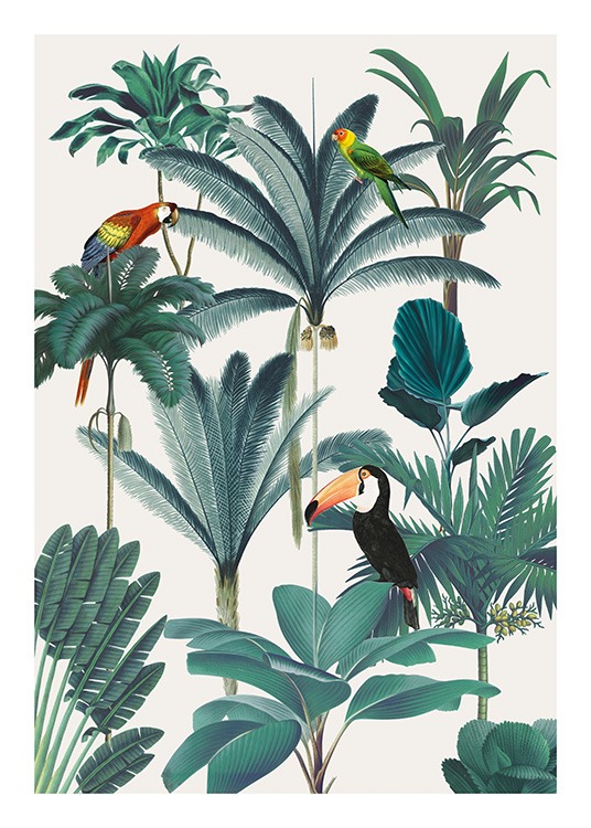 Royal Botanical Birds Juliste / Linnut Osoitteessa Desenio ab (13736)