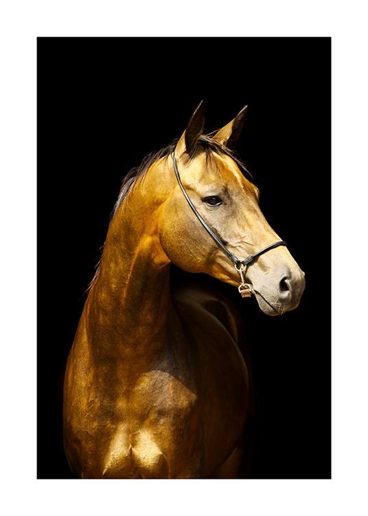 Glowing Horse Juliste