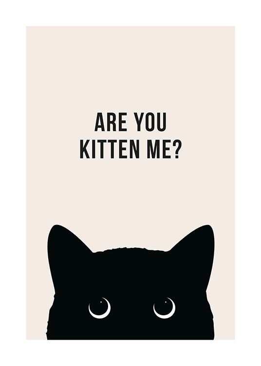 Are You Kitten Me? Juliste / Huumori Osoitteessa Desenio ab (13790)