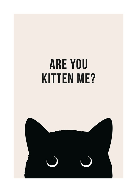 Are You Kitten Me? Juliste