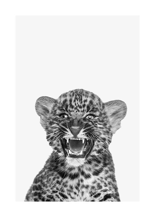 Baby Leopard Juliste / Hyönteiset & eläimet Osoitteessa Desenio ab (13858)
