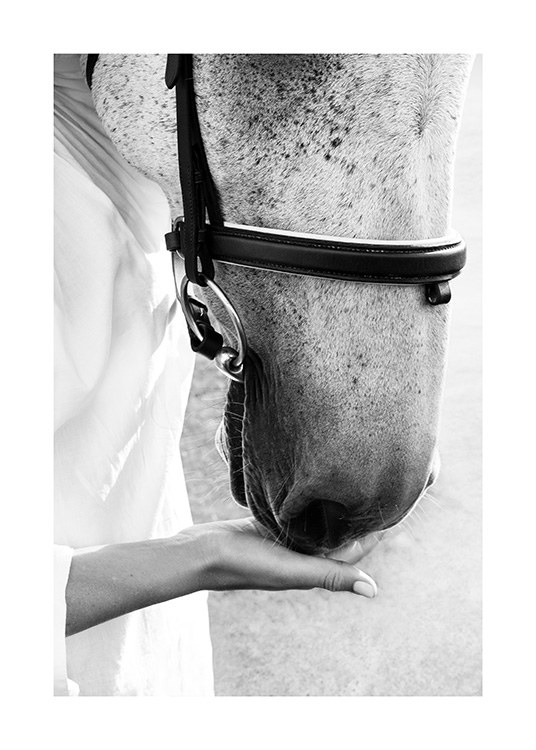 Sweet Friend Juliste