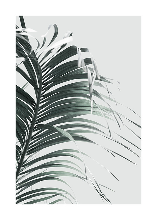 French Palm Leaf Juliste