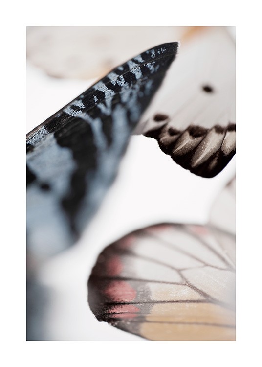 Butterfly Wings Juliste