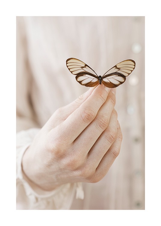 Butterfly Friend Juliste