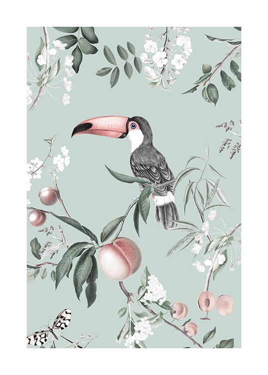 Vintage Toucan Juliste