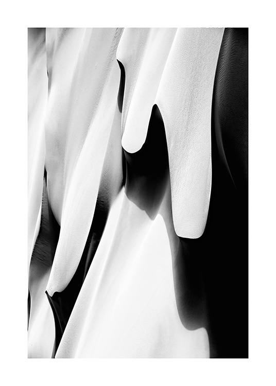 Abstract Desert B&W Juliste
