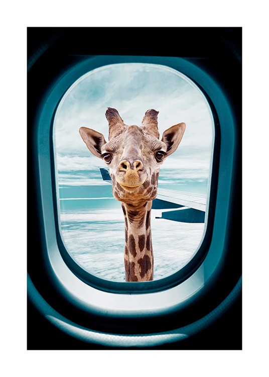 - Valokuva uteliaasta kirahvista kurkistamassa lentokoneen ikkunasta