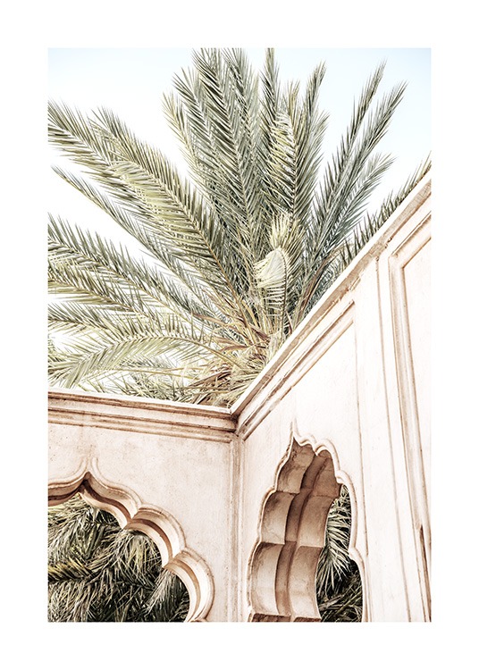  - Valokuva palmun edessä olevasta holvikaarin toteutetusta beigen värisestä rakennuksesta