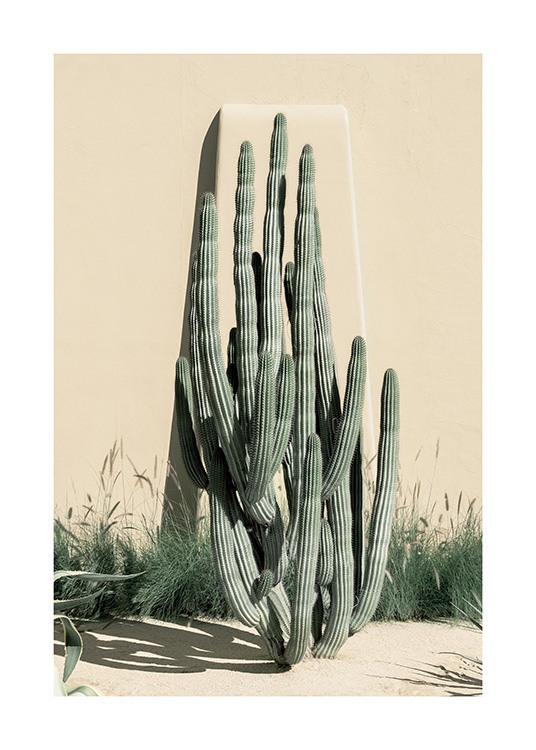 Beige Cactus Juliste