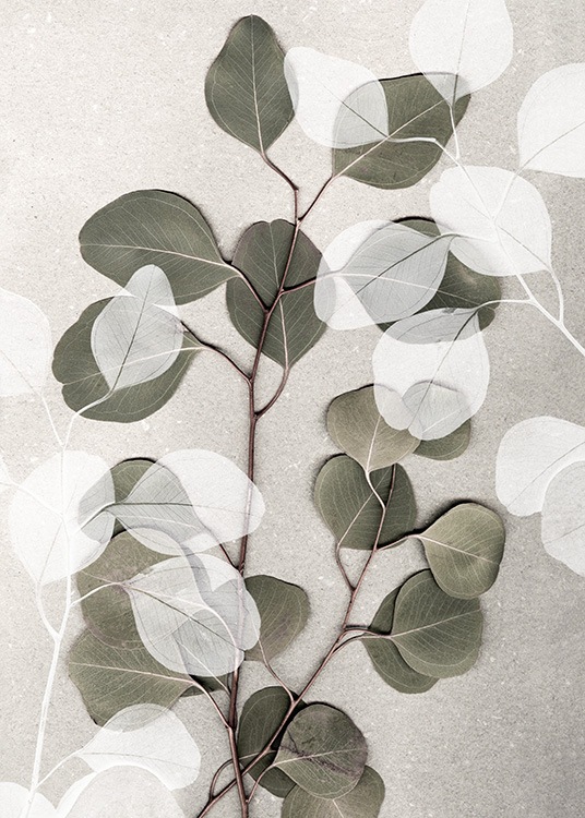  – Valokuva valkoisista ja vihreistä eukalyptuksenoksista beigellä kivitaustalla