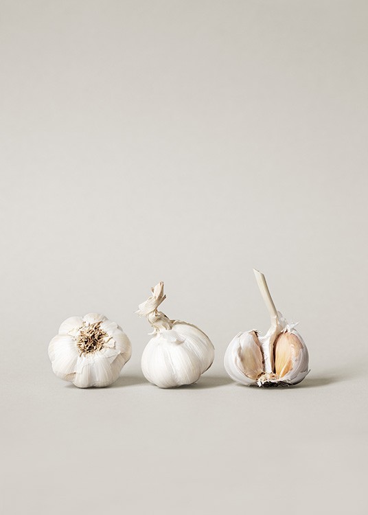 Garlic in a Row Juliste
