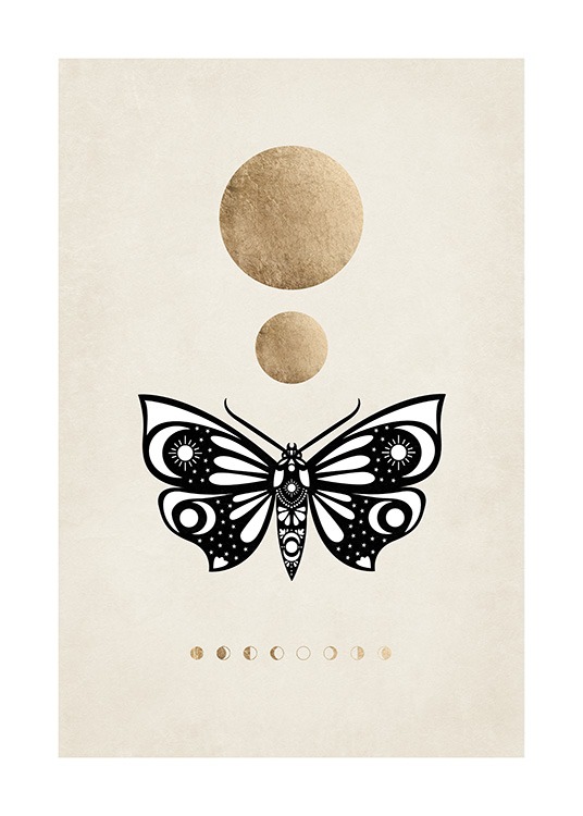 Moon Phases Moth Juliste