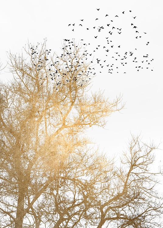  – Graafinen kuva mustista linnuista ja kultaisesta puusta valkoisella taustalla