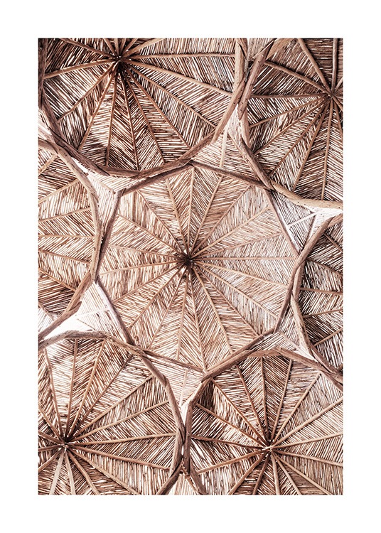 Organic Roof Pattern Juliste