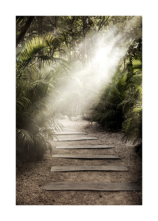  – Valokuva polkua reunustavista palmunlehdistä auringonvalossa