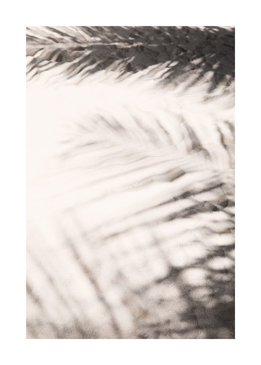  – Valokuva palmunlehtien varjoista beigellä hiekalla