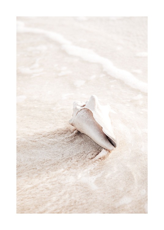  – Valokuva vaaleanbeigestä simpukasta hiekalla vedessä