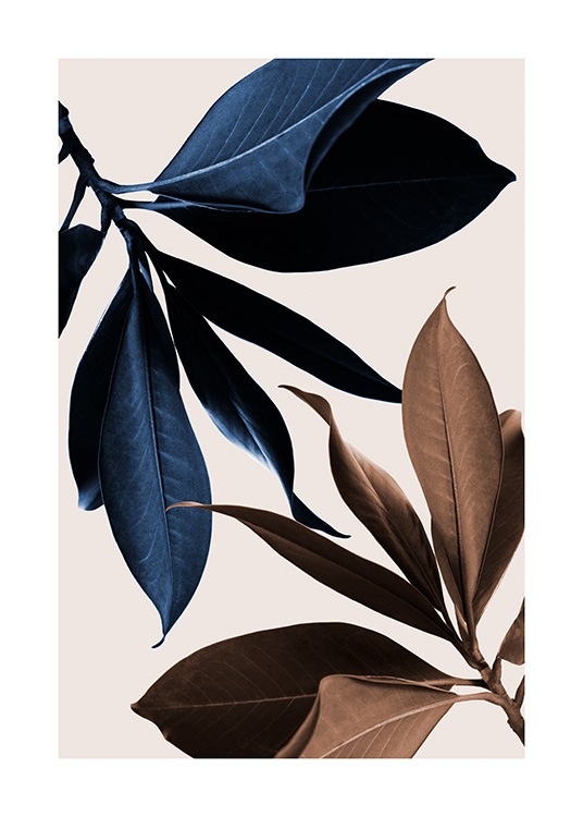  – Valokuva ruskeista ja sinisistä magnolianlehdistä vasten beigeä taustaa