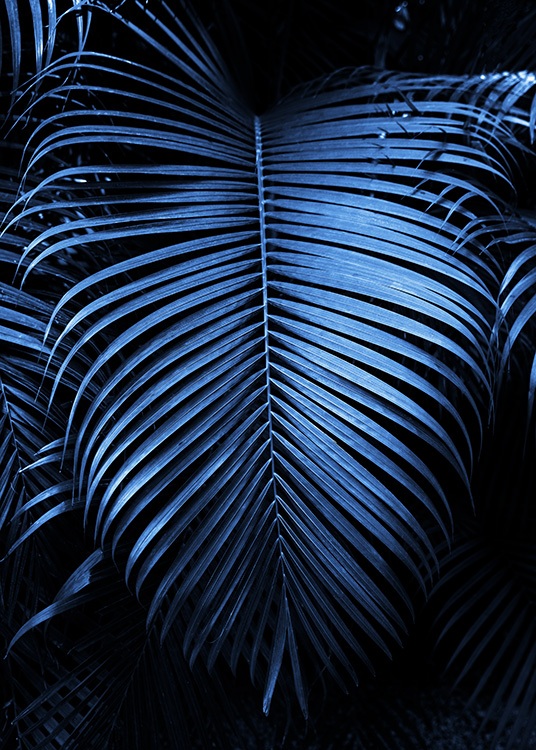  – Valokuva suuresta tummansinisestä palmunlehdestä