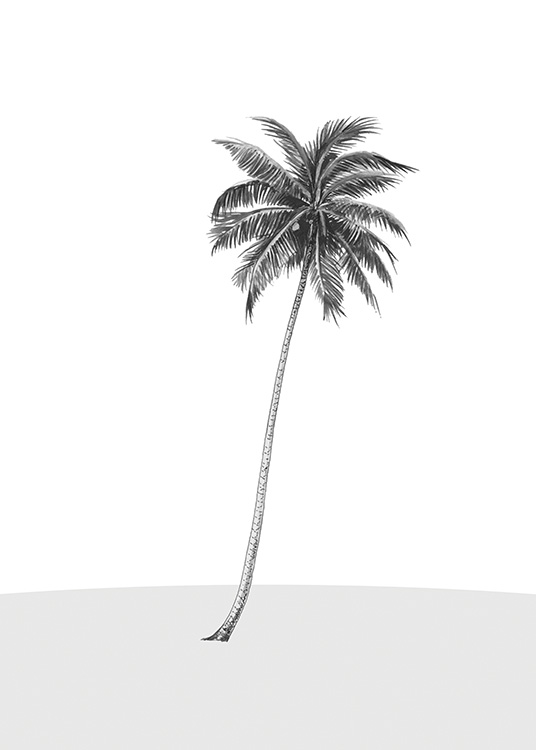 Lonely Palm Tree Juliste