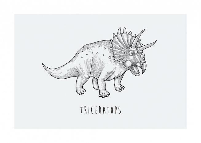  – Piirros Triceratops-hirmuliskosta piirrettynä mustalla sinivihreälle taustalle