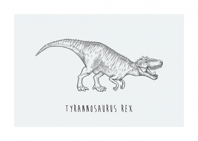  – Piirros Tyrannosaurus Rexistä sinivihreällä taustalla