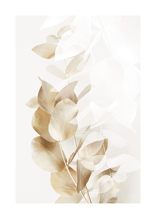 – Valokuva kultaisesta ja valkoisesta eukalyptuksenoksasta vaaleanbeigellä taustalla