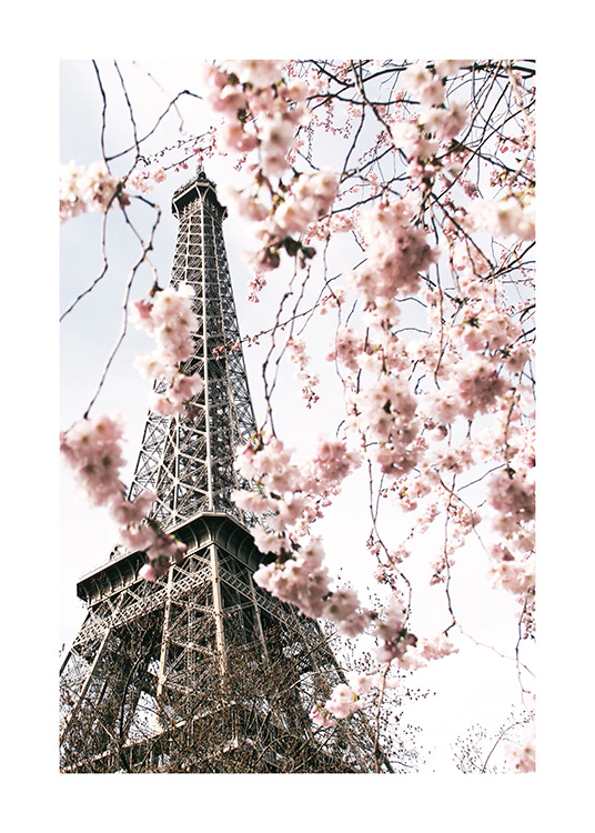  – Valokuva puusta ja sen vaaleanpunaisista kirsikankukista Eiffel-tornin edessä