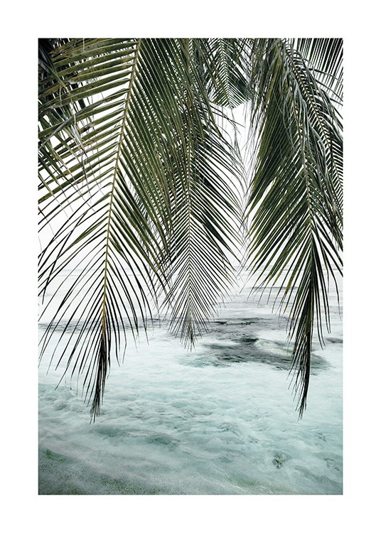  – Valokuva alaspäin roikkuvista palmunlehvistä sininen meri taustallaan