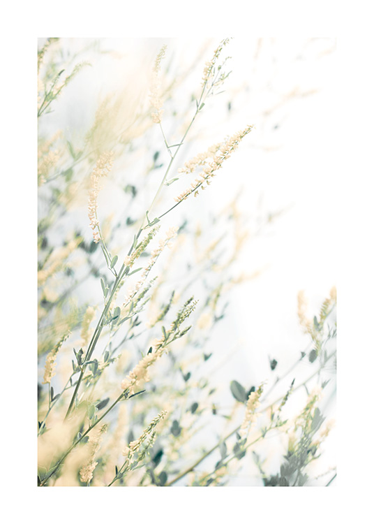  – Valokuva pienistä keltaisista kukista ja vihreistä lehdistä vasten valkoista taustaa