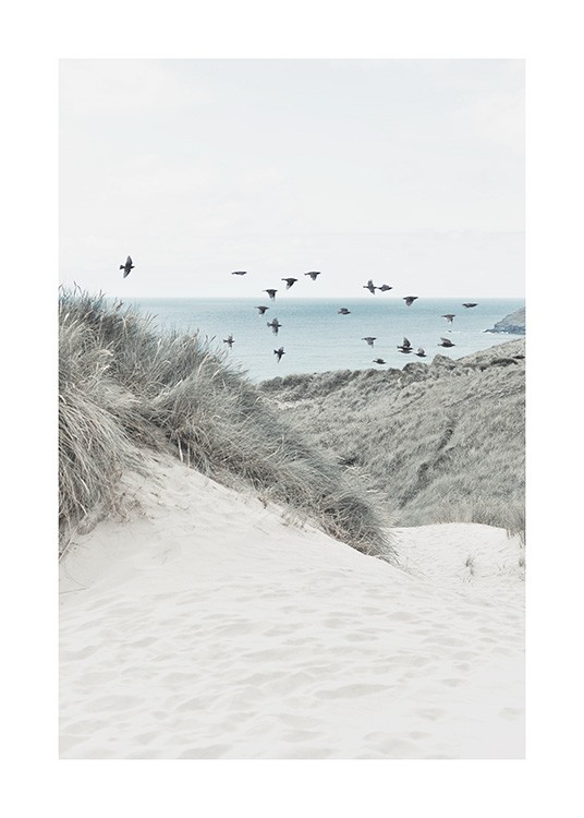  – Valokuva hiekkadyyneistä ja heinistä lintuparvi ja meri taustallaan
