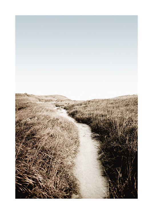  – Valokuva heinien ympäröimästä hiekkapolusta sininen taivas taustallaan