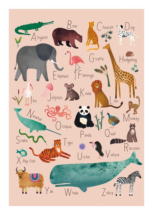  – Kuvitus eläimistä, joiden nimet alkavat aakkosten kirjaimilla