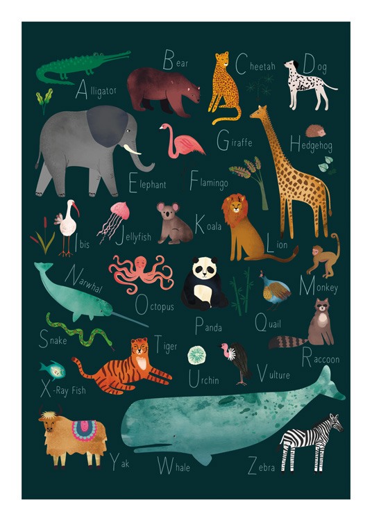 Alphabet Animals 2 Juliste