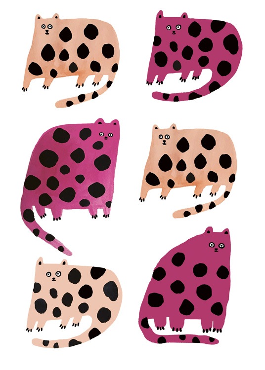 Colourful Cats Juliste