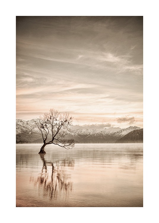  – Valokuva tyynestä järvestä ja puusta ja vuorista taustalla