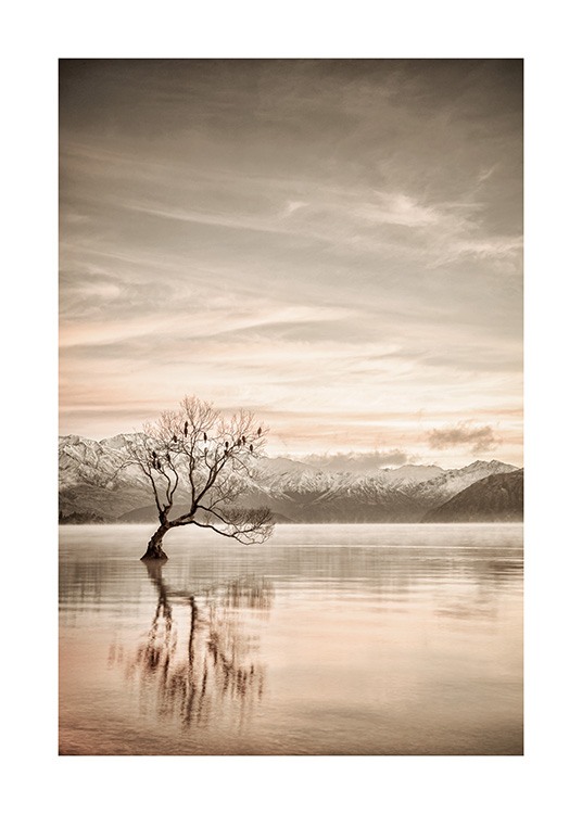 Lake Wanaka Otago Juliste